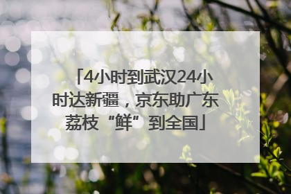 4小时到武汉24小时达新疆，京东助广东荔枝“鲜”到全国